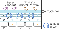ϐ̏ꍇ